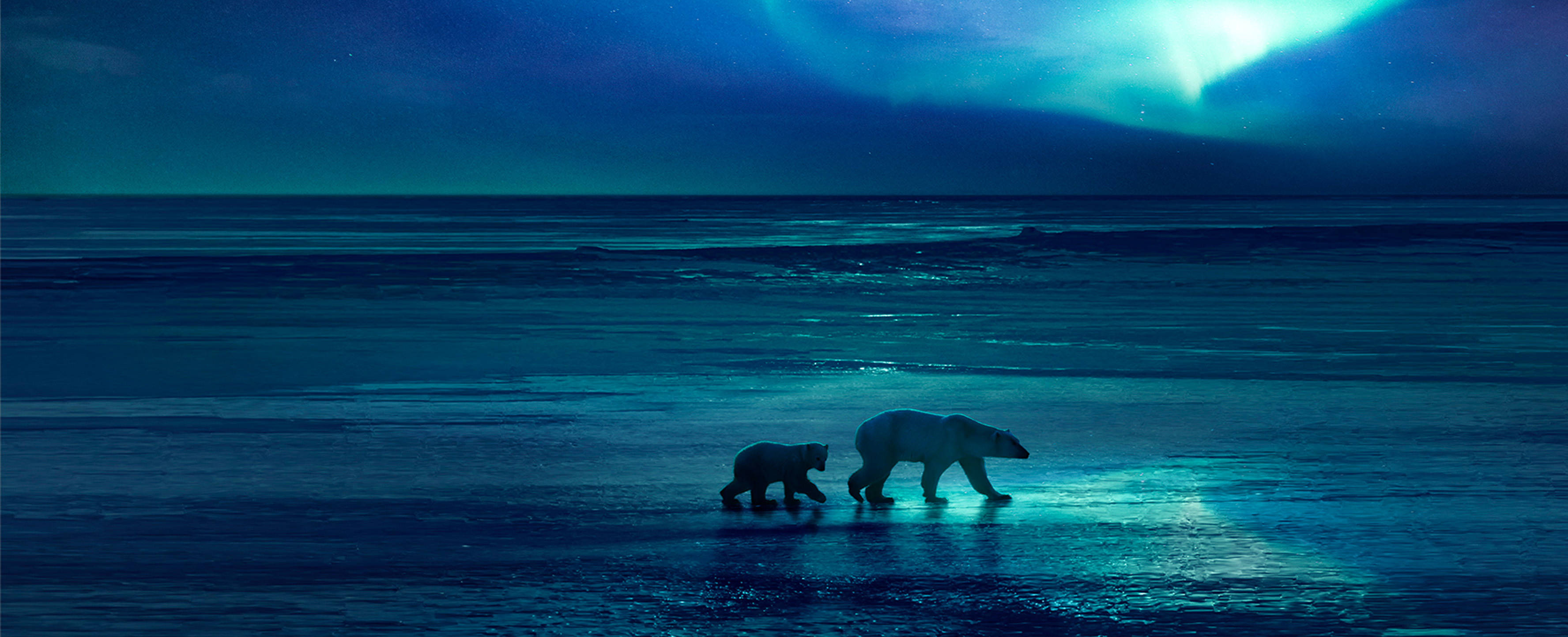 Frozen Planet II, BBC Studios Natural History Unit